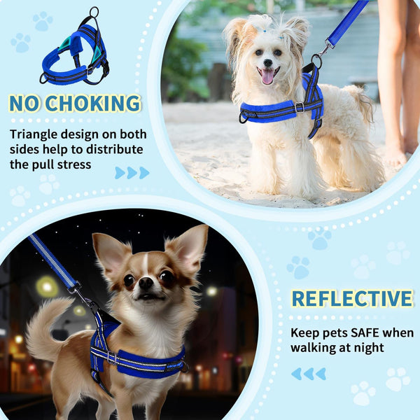 Lukovee No Pull Dog Harness and Leash Set, Soft Padded Small Dog Harness, Neck & Chest Adjustable Reflective Vest Puppy Harness with 4Ft Lightweight Anti-Twist Dog Leash for Small Dogs (XS, Blue)6