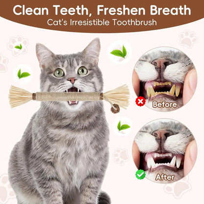 5 Pack Silvervine Sticks Cat Toys, Natural Chew Kitten Teething Toys for Cleaning, Matatabi Catnip Treat Toys, Catmint Silver Vine Sticks for Bored Indoor Kitty4