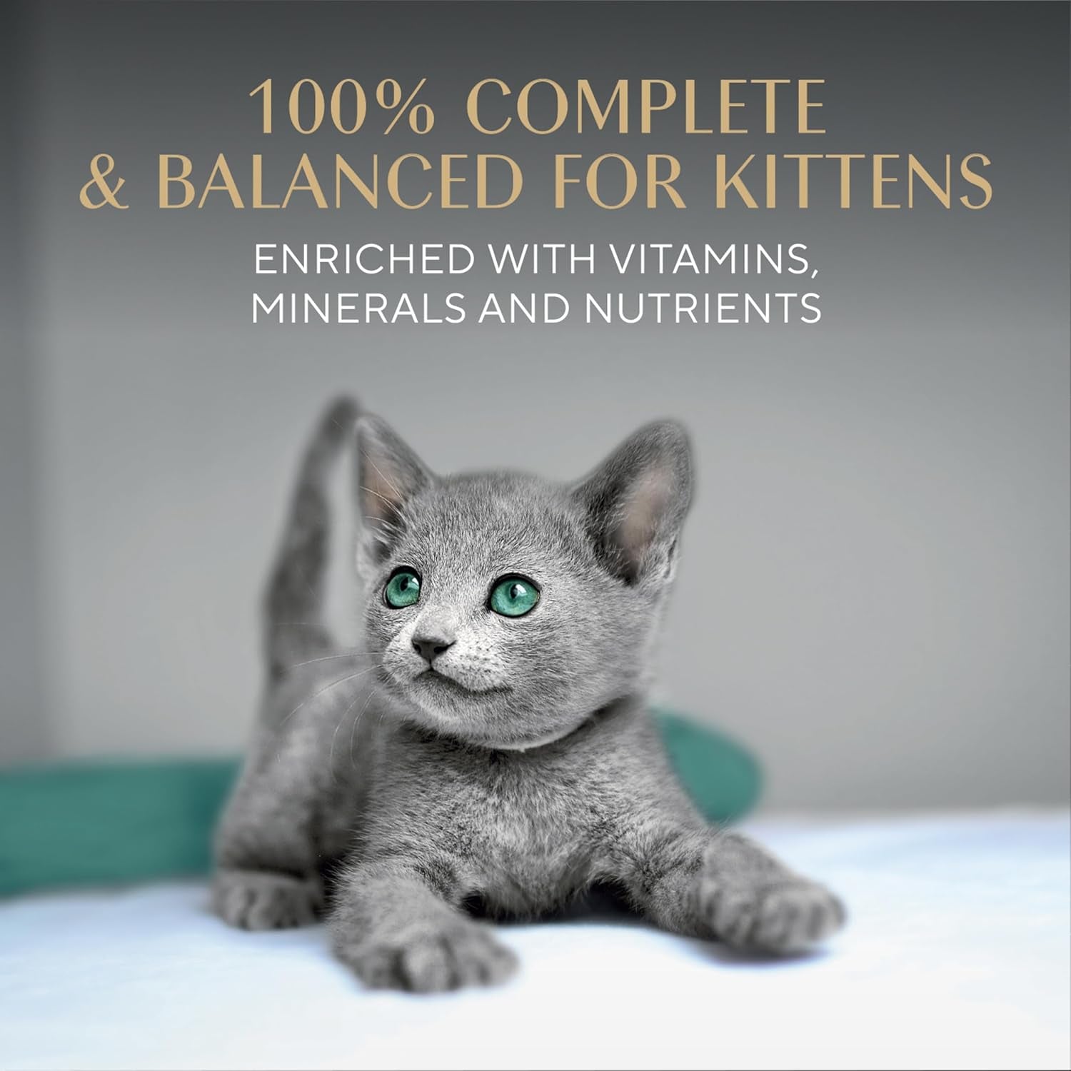 sheba-perfect-portions-kitten-pate-wet-cat-food-multipack-2-6-oz-24-ct-dha-for-brain-development-vitamin-e-for-immunity-real-meat-all-essential-amino-acids-complete-balanced-48-servings
