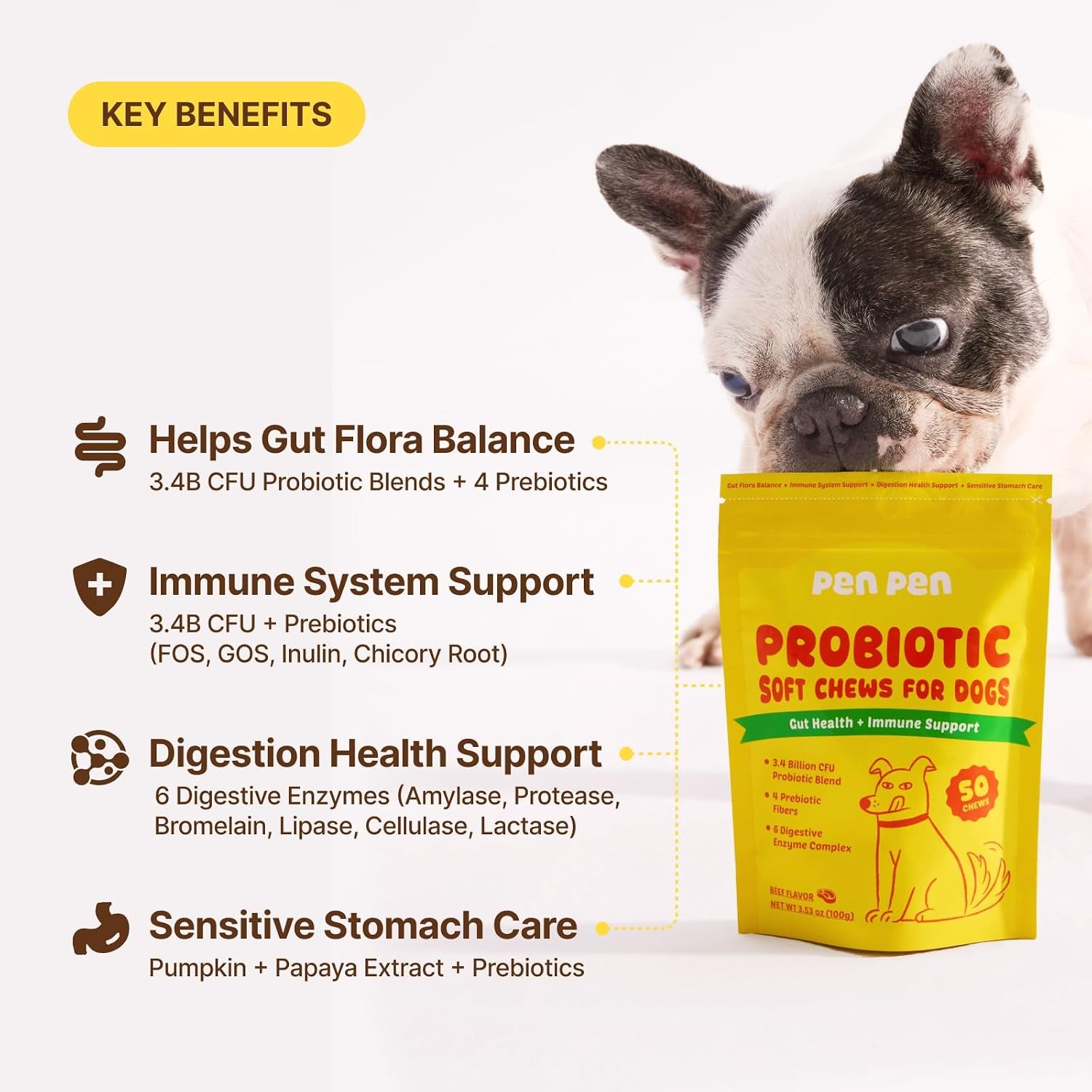 penpen-probiotics-for-dogs-dogs-probiotics-for-digestive-health-multi-probiotic-and-enzyme-blend-promote-gut-health-immune-support-eases-sensitive-stomachs-beef-chews-50ct