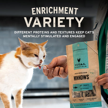 Vital Essentials Freeze Dried Cat Treats, Salmon Bites, 1.1 Oz Bag | Crunchy, Single Protein, Premium Quality, Grain Free, USA Made with U.S. & Globally Sourced Ingredients6