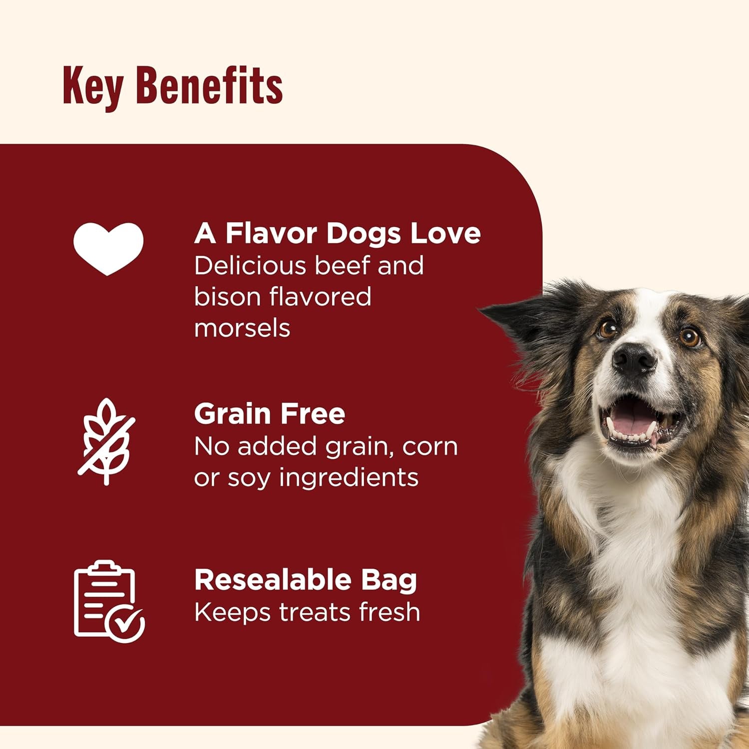 nutrish-burger-bites-dog-treats-beef-recipe-12-oz-pouch-rachael-ray