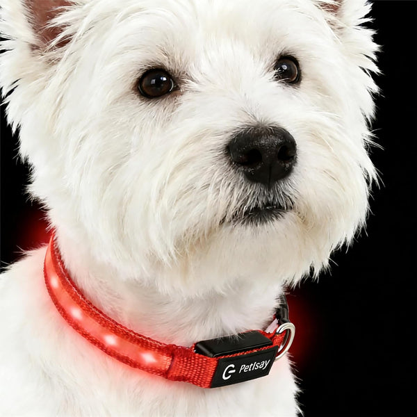 Super Bright LED Dog Collar, Waterproof Light up Collars(Green, Medium) | Lighted Dog Collar with Adjustable Fit, Soft Nylon Comfort, USB-C Rechargeable, Glow in the Dark Visibility for Night Walks14