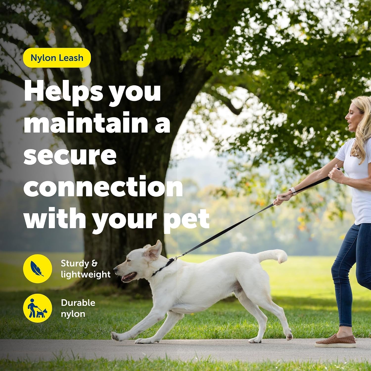 petsafe-nylon-dog-leash-strong-durable-traditional-style-leash-with-easy-to-use-bolt-snap-3-8-in-x-6-ft-black-durable-nylon-leash-with-easy-on-off-bolt-snap-hook-pairs-perfectly-with-easy-walk-harness-and-gentle-leader-headcollar