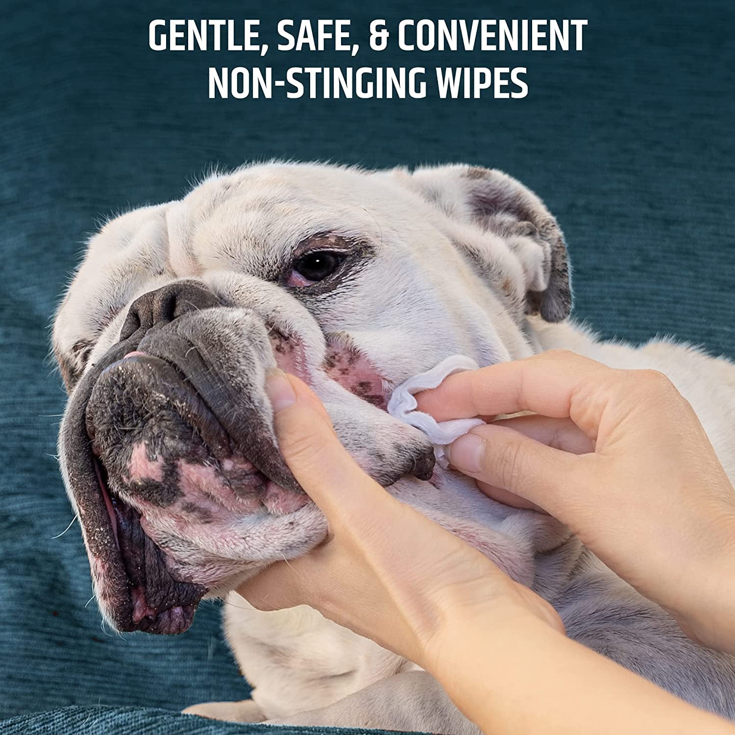pet-md-topical-wipes-for-cleansing-with-aloe-for-cats-and-dogs-50-count