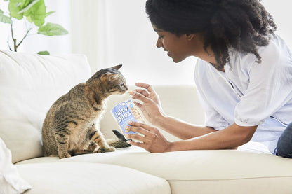 INABA Juicy Bites Grain-Free, Soft, Moist, Chewy Cat Treats with Vitamin E and Green Tea Extract, 0.4 Ounces per Pouch, 9 Pouches Total (3 per Bag), Scallop and Crab Flavor7
