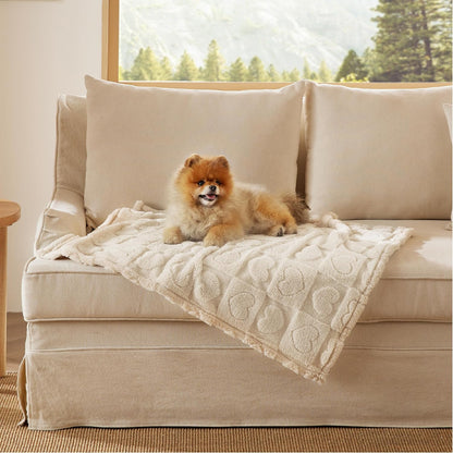 Bedsure Dog Blanket for Small Dogs Puppy Cats with Soft Fleece 25X35 White | 300GSM Fuzzy Jacquard Doggy Kitten Blanket Washable for Crate Cage, Pet Bed, Indoor Cats, Puppy Essentials, Cute Dog Gift8