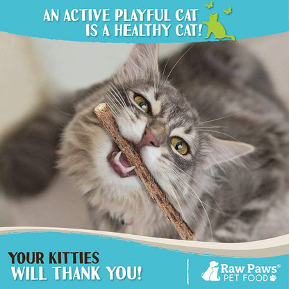 Raw Paws Silvervine Sticks for Cats (30-Count) - Dental Cat Chew Stick | Catnip Alternative - Matatabi Cat Toy - Silver Vine Sticks - Indoor Cat Enrichment & Chewing5