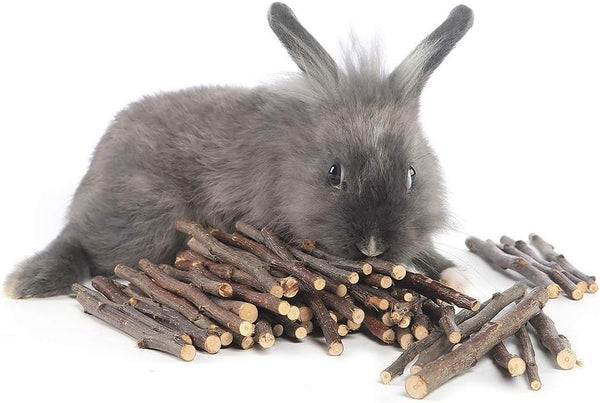 William Craft Apple Sticks Pet Chew Toy Treats for Chinchilla Guinea Pigs Rabbits Squirrel Hamster Bunny6