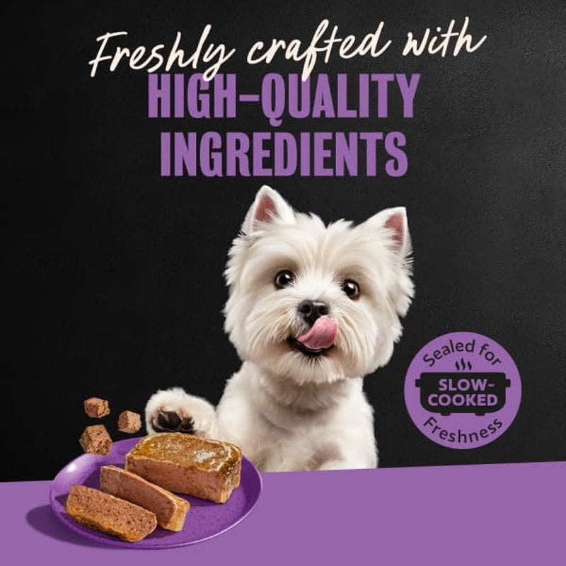 cesar-wet-dog-food-classic-loaf-in-sauce-grilled-chicken-filet-mignon-porterhouse-steak-beef-chicken-liver-and-turkey-variety-pack-3-5-oz-easy-peel-trays-36-count-pack-of-1-made-in-usa-real-meat-1-ingredient-no-fillers-or-artificial-flavors-formulated-without-grains-easy-peel-trays