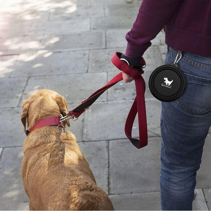 Collapsible Dog Bowls for Travel, 2-Pack Dog Portable Water Bowl for Dogs Cats Pet Foldable Feeding Watering Dish for Traveling Camping with Carabiners, BPA Free (Grey&Black, Small (Pack of 2))7