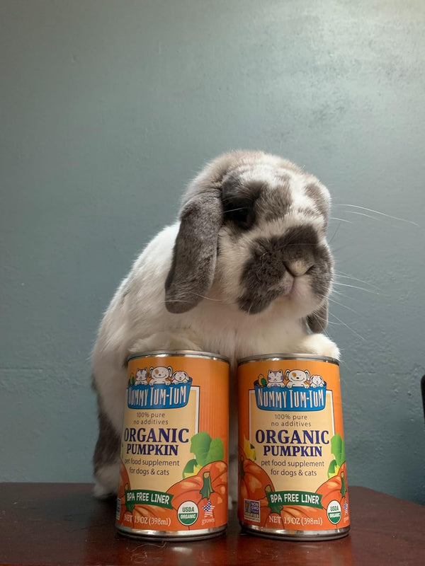 Nummy Tum Tum Organic Pumpkin Puree for Pets, 15 Oz (Pack of 12) | USA Grown Pumpkins, Supports Healthy Digestion for Cats & Dogs, Great for Food Toppers, Treats, & Recipes9