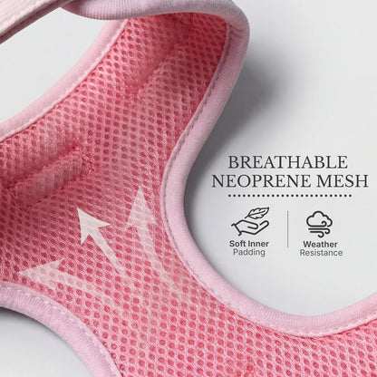 No Pull Harness & Leash Set for Small Sized Dogs, Soft Padded Breathable Neoprene Harnesses, Lightweight Adjustable Step-In Vest with Cute Heart Print & Secure Back D-Ring, Neck 13-17", Chest 16-21"4