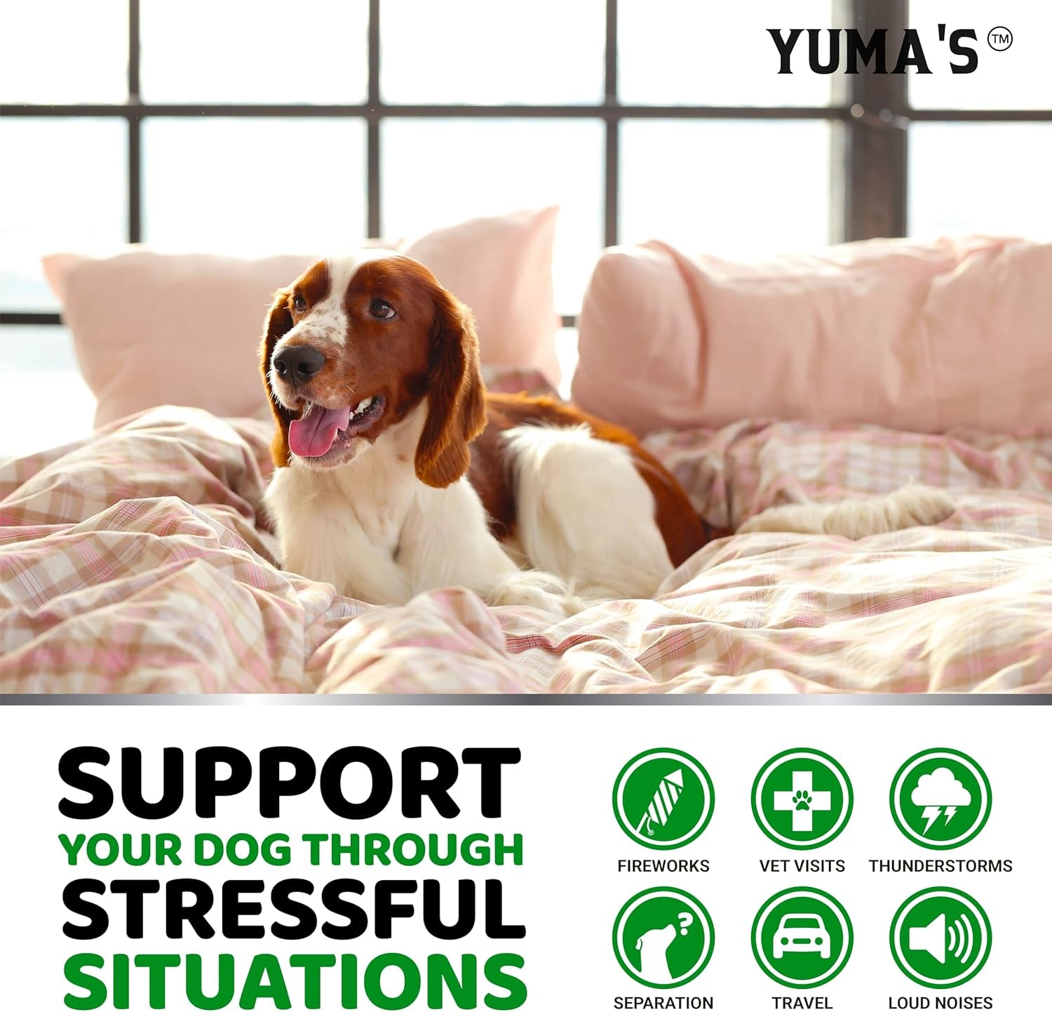 hemp-calming-chews-for-dogs-advanced-dog-calming-chews-170-chews-anxiety-relief-treats-separation-aid-barking-stress-relief-thunderstorms-melatonin-hemp-oil-made-in-usa