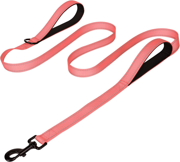 Joytale Reflective Dog Leash for Medium & Large Dogs, 6 FT X 1", Black | Heavy Duty Nylon Webbing, Padded Handle for Comfort, Visible at Night, for Walking & Training29