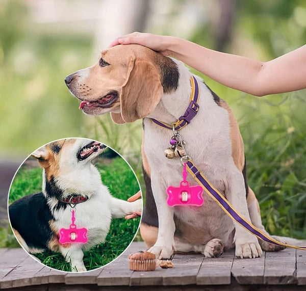 5 PCS Bone Shaped Poop Bag Dispenser (Random Color) | Pet Waste Disposal Bag Dispenser with Waste Bag2