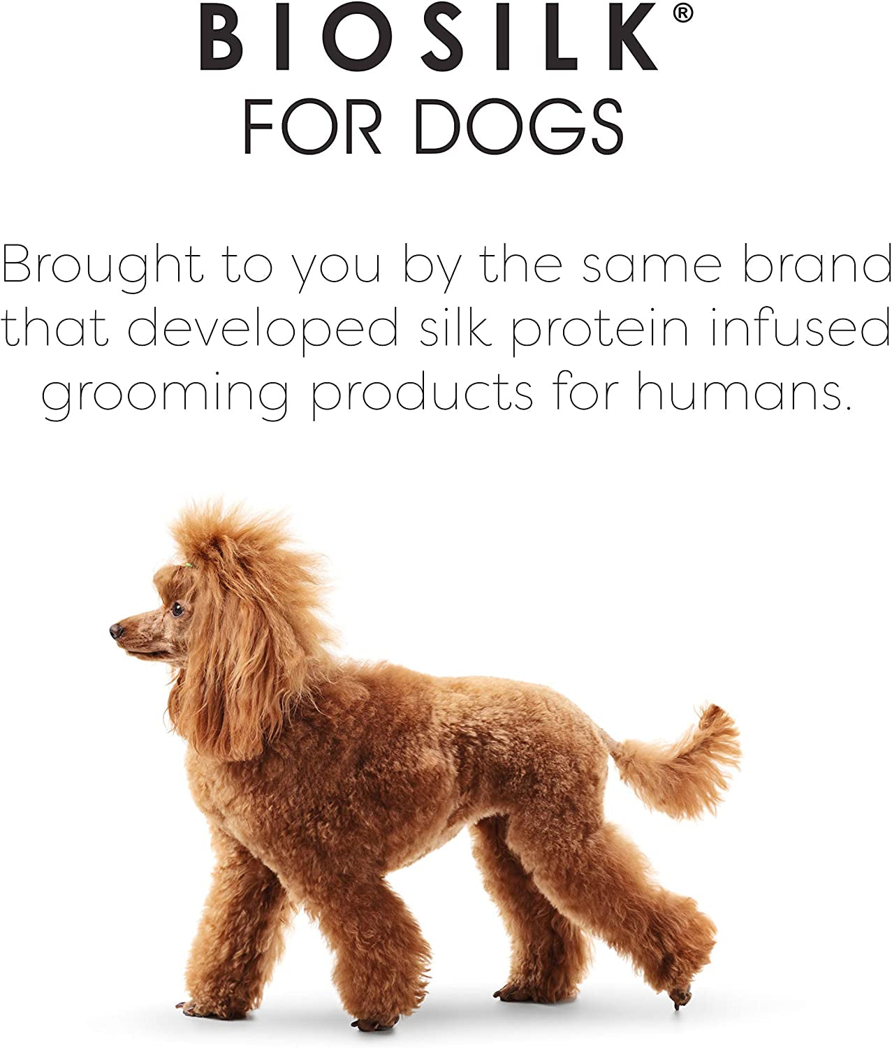 biosilk-for-pets-eco-friendly-detangling-pin-brush-for-dogs-gentle-dog-grooming-brush-designed-to-help-remove-knots-and-tangles-and-support-healthy-coats-for-all-dogs-gentle-grooming-brush-removes-knots-and-tangles-supports-healthy-coats-for-all-dog-breeds