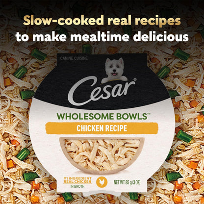 Cesar Wholesome Bowls Wet Dog Food, Chicken Recipe, 3 Oz, 10 Count | Real Chicken #1 Ingredient, Slow-Cooked, 7 Key Ingredients, No By-Products or Artificial Flavors, Easy to Digest6