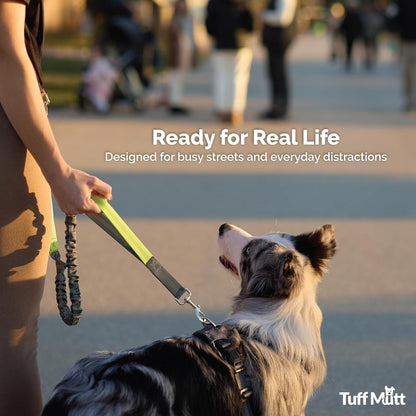 Tuff Mutt Hands Free Dog Leash for Walking Running Hiking, Waist Leash with Bungee, Adjustable Belt, Reflective Double Handle Design for Large Medium Dogs6