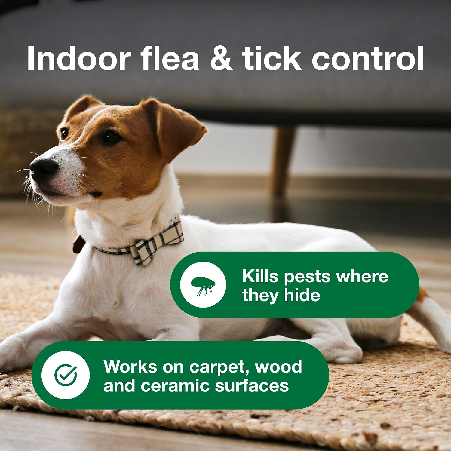 advantage-carpet-upholstery-spot-spray-kills-fleas-ticks-bedbugs-16-oz