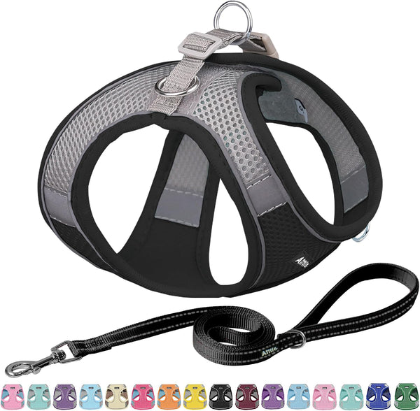 AIITLE No Pull Dog Harness and Leash Set, Step in Adjustable Dog Harness with Padded Vest for All Weather, Dog Leash with Soft Padded Handle, Easy to Put on Small and Medium Dogs Beige S23