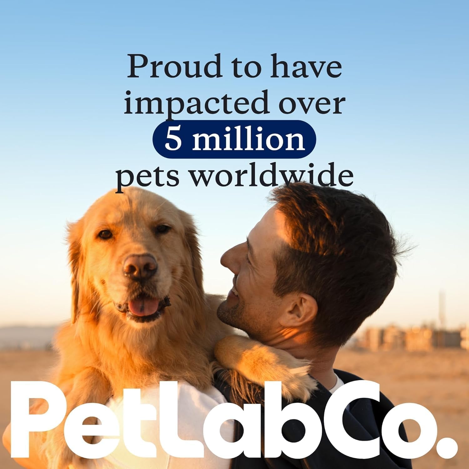 petlab-co-dental-sticks-dog-dental-chews-target-plaque-tartar-build-up-at-the-source-designed-to-maintain-your-dog-s-oral-health-keep-breath-fresh-and-provide-digestive-help-24-sticks-ridged-texture-with-chicory-root-prebiotic-and-peppermint-to-support-tartar-removal-digestion-and-fresh-breath