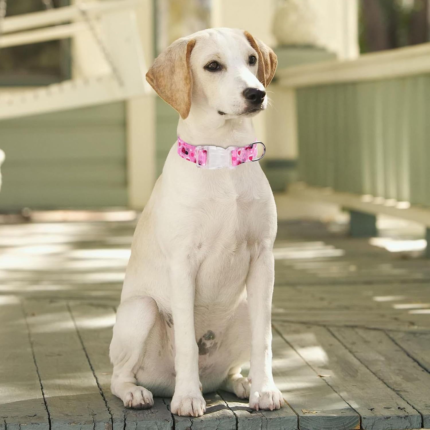 serijoars-floral-print-puppy-dog-collar-for-small-medium-large-dogs-collars-with-quick-release-buckle-for-girls-female-dog-no10-s