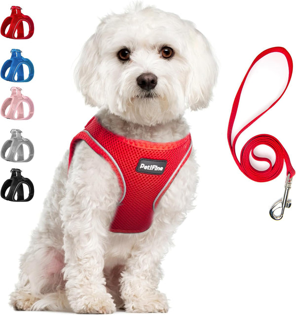 Small Dog Harness and Leash Set Breathable Step-In Puppy Cat Harness,Xs | Reflective for Safe Easy Walking,Soft Light Puppy Vest,Escape Proof,No Pull Harness for Dogs,All Weather Air Mesh Harness11