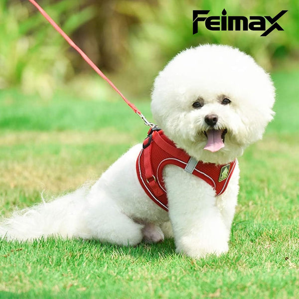 Feimax Dog Harness and Leash Set, No Pull Breathable Soft Mesh Puppy Vest Harness Reflective Adjustable Pet Harnesses for Small Medium Dogs and Cats - Outdoor Easy Control for Walking4