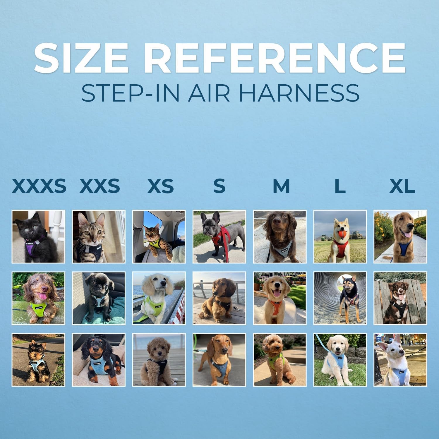 best-pet-supplies-voyager-step-in-air-all-weather-mesh-harness-and-reflective-dog-5ft-leash-combo-with-neoprene-handle-for-small-medium-and-large-breed-puppies-baby-blue-small