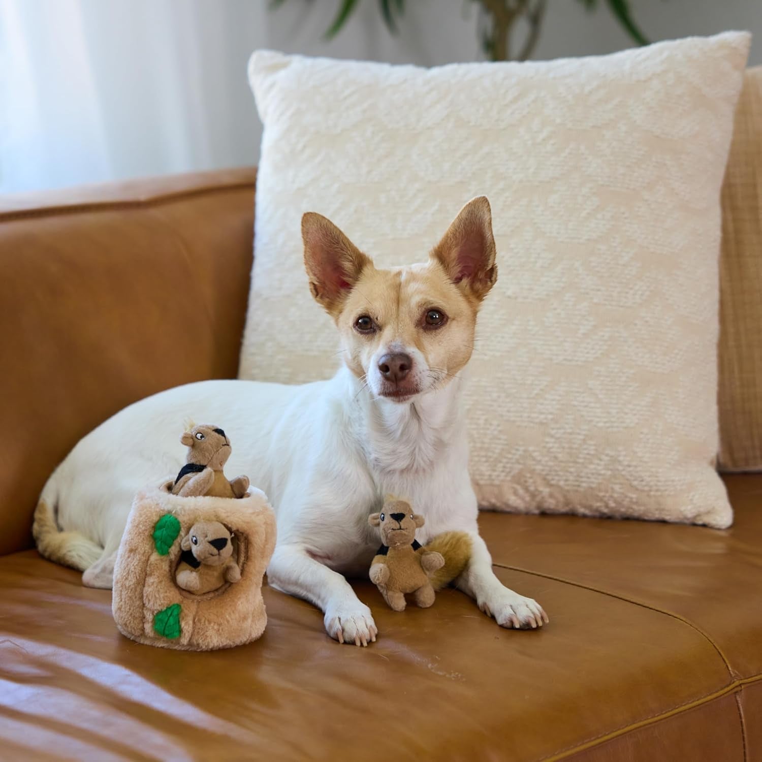 outward-hound-squeakin-squirrels-3-pack-plush-squeaky-dog-toys-for-puppies-small-dogs-hide-a-squirrel-replacements