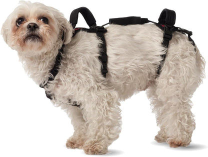 Help 'Em Up® - Dog Lift Harness│ Adjustable Lifting Harness for Dogs │ Full Body Support, Rear Leg Support (Conventional, Medium, 45-80 Lbs)10