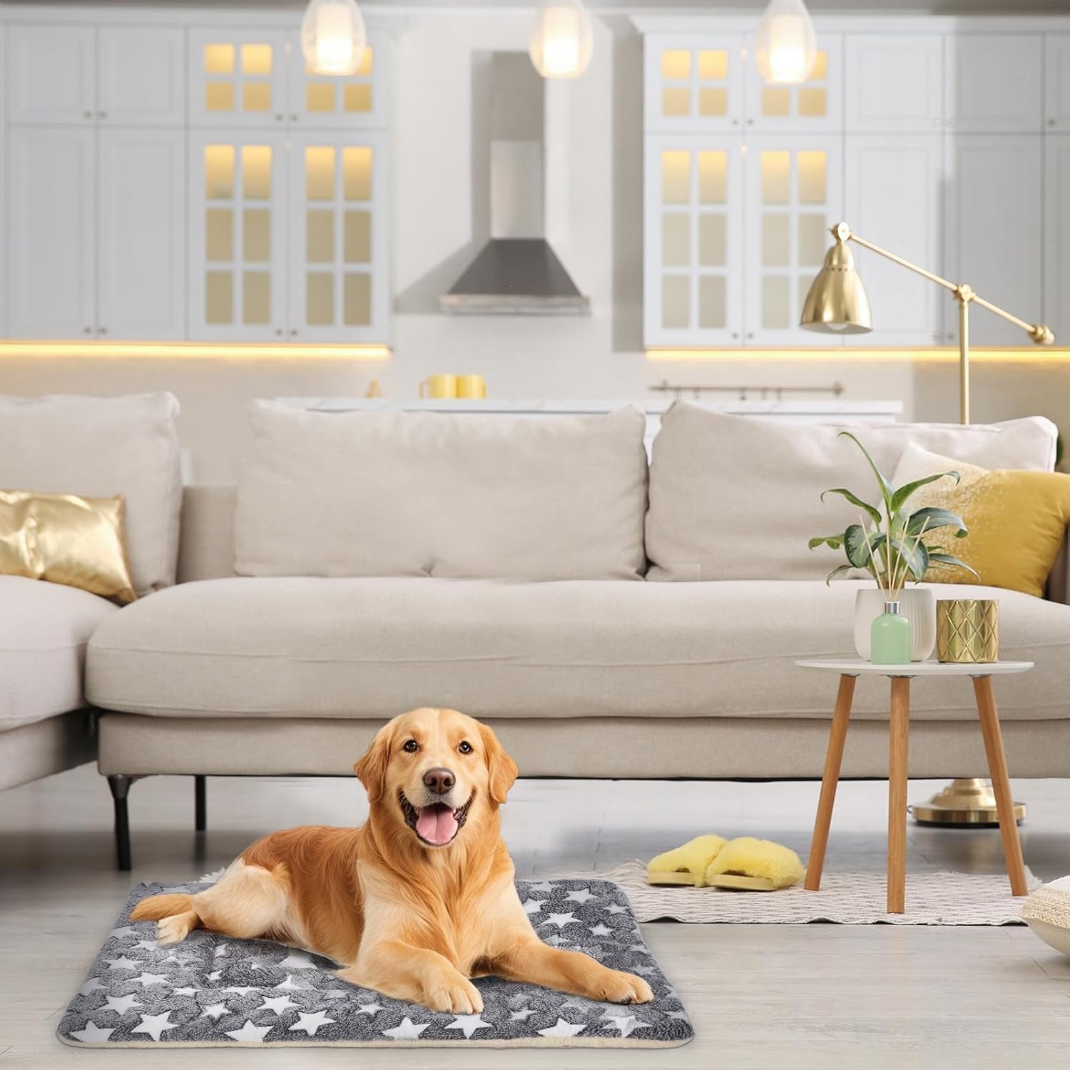 dog-bed-pet-mat-dog-box-mat-machine-washable-grey-39x28x1-5in