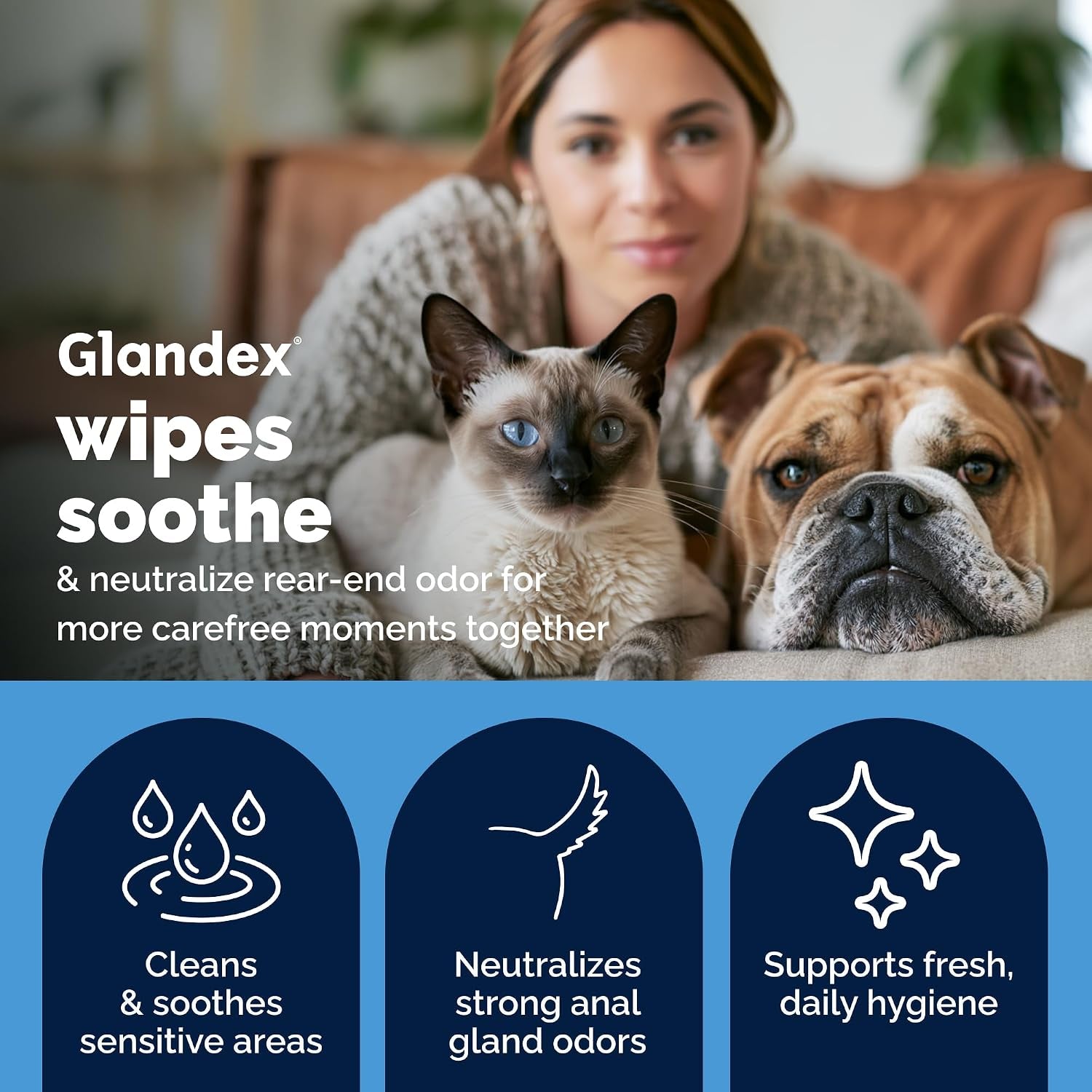 vetnique-glandex-rear-end-wipes-for-dogs-cats-anal-gland-hygiene-deodorizing-dog-cat-wipes-for-paws-butt-boot-the-scoot-with-deoplex-enzyme-aloe-vitamin-e-alcohol-free-75ct