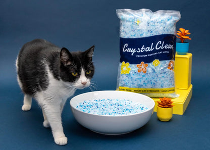 Crystal Clean Premium Fresh Scent Crystal Cat Litter with Odor Control (5X Faster), Best Lightweight, Non Clumping Kitty Litter to Absorb Urine, Dries Solid Waste (2X4.3 Lb Bags)7