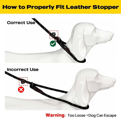 Fida Durable Slip Lead Dog Leash, 6 FT X 1/2" Heavy Duty Dog Loop Leashes, Comfortable Strong Rope Slip Leash for Large Medium Dogs, No Pull Pet Training Lead with Highly Reflective(1/2", Black)8