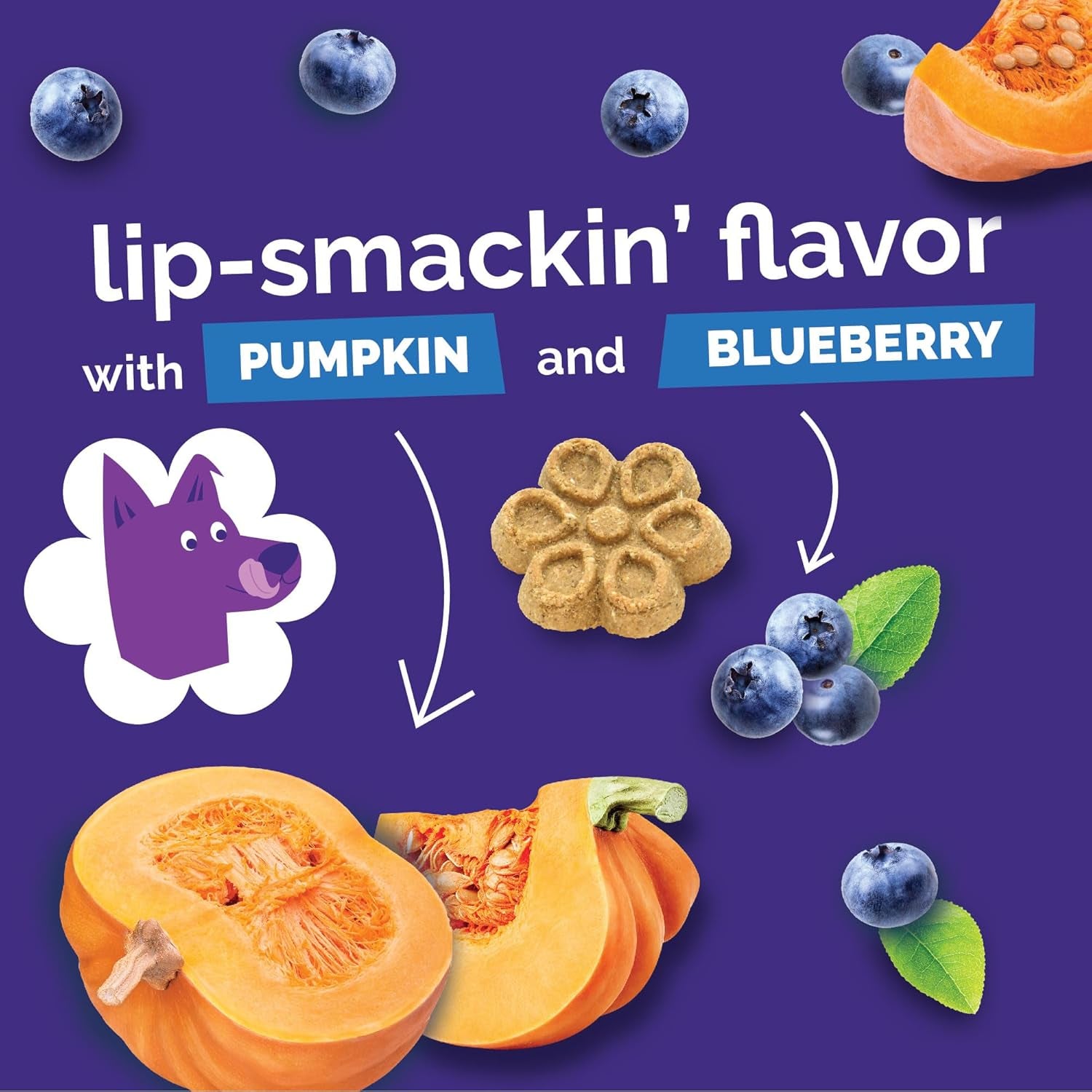 fruitables-biggies-dog-biscuits-healthy-treats-for-dogs-doggie-biscuits-crunchy-pumpkin-treats-made-without-wheat-corn-and-soy-made-in-the-usa-pumpkin-and-blueberry-flavor-16oz
