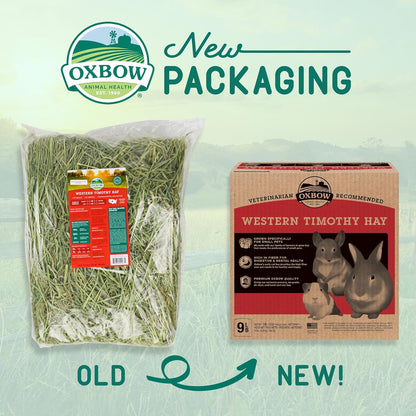 Oxbow Western Timothy Hay, Guinea Pig Hay, Small Pet Bunny Supplies, All Natural Grass for Guinea Pig, Bunny, Chinchilla & Hamster, Oxbow Rabbit Supplies for Bunnies, 9 Lb Box | Oxbow Timothy Hay, Bunny Hay for Rabbits, Guinea Pigs, Bunnies and Chinchillas, Hand-Sorted, De-Dusted, Made in USA7