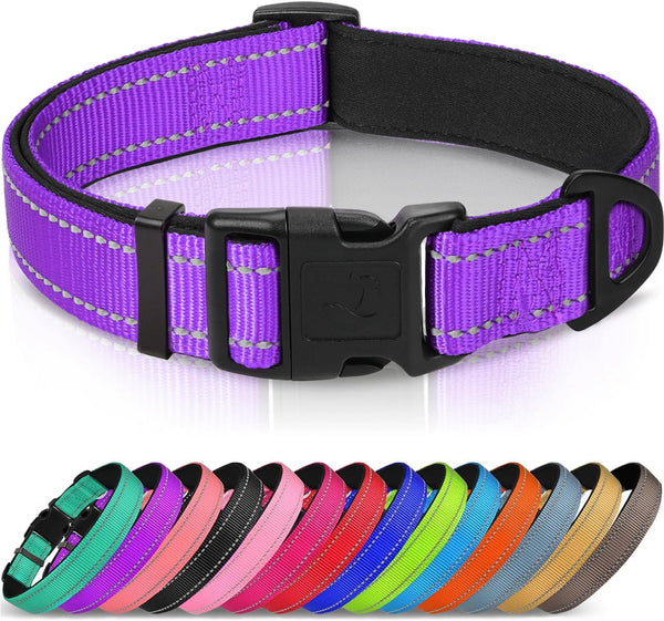 Joytale Reflective Dog Collar, Adjustable Neoprene Padded, Teal L | Breathable Nylon for Large Dogs, No Chafing on Walks and Outdoor Hikes, Tear-Resistant Webbing, Metal D-Ring, Night Safety10