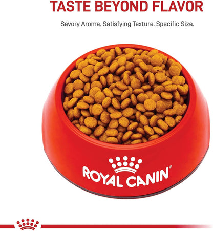 ROYAL CANIN Size Health Nutrition X-Small 7+ Adult Dry Dog Food, 2.5 Lb Bag8