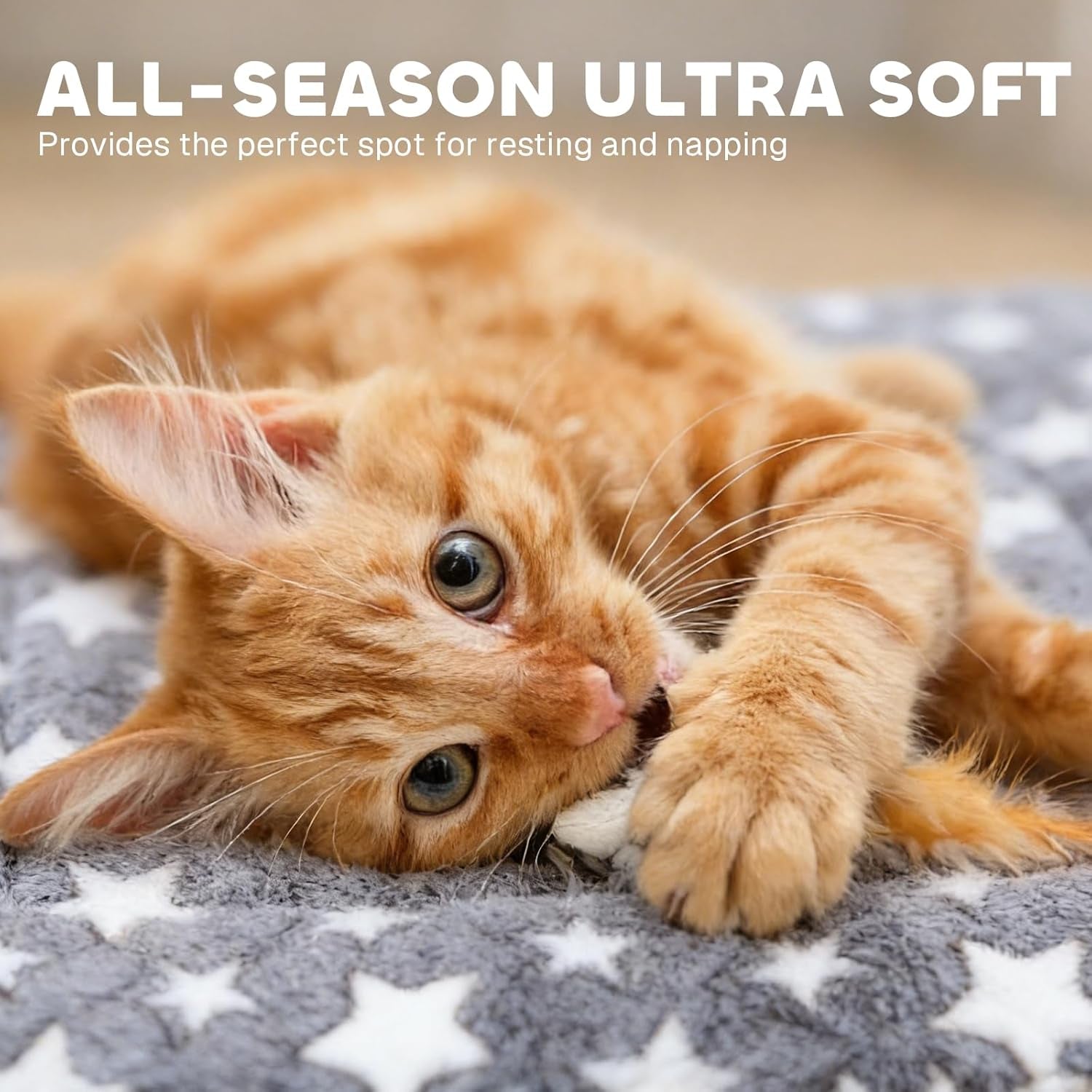 mora-pets-cat-bed-dog-crate-pad-ultra-soft-pet-bed-with-cute-star-print-washable-crate-mat-for-small-dogs-and-indoor-cats-reversible-fleece-dog-kennel-pad-cat-carrier-mat-14-x-17-5-inch-grey