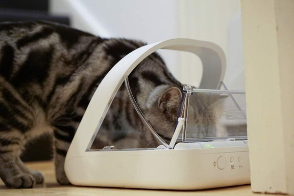 Sure Petcare -Sureflap - Surefeed - Microchip Pet Feeder - Selective-Automatic Pet Feeder Makes Meal Times Stress-Free, Suitable for Both Wet and Dry Food - MPF0013