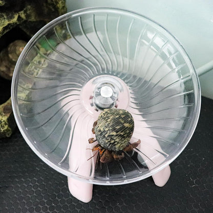 Hermit Crabs Wheel Toy, Hamster Running Wheel Toys, Small Animals Cage Accessory, Tank Accessory, Suitable for Hermit Crab Hamster Rat3