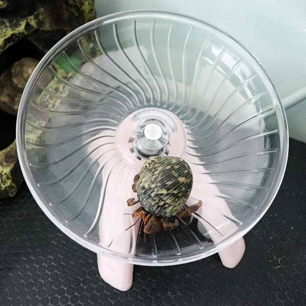 Hermit Crabs Wheel Toy, Hamster Running Wheel Toys, Small Animals Cage Accessory, Tank Accessory, Suitable for Hermit Crab Hamster Rat3