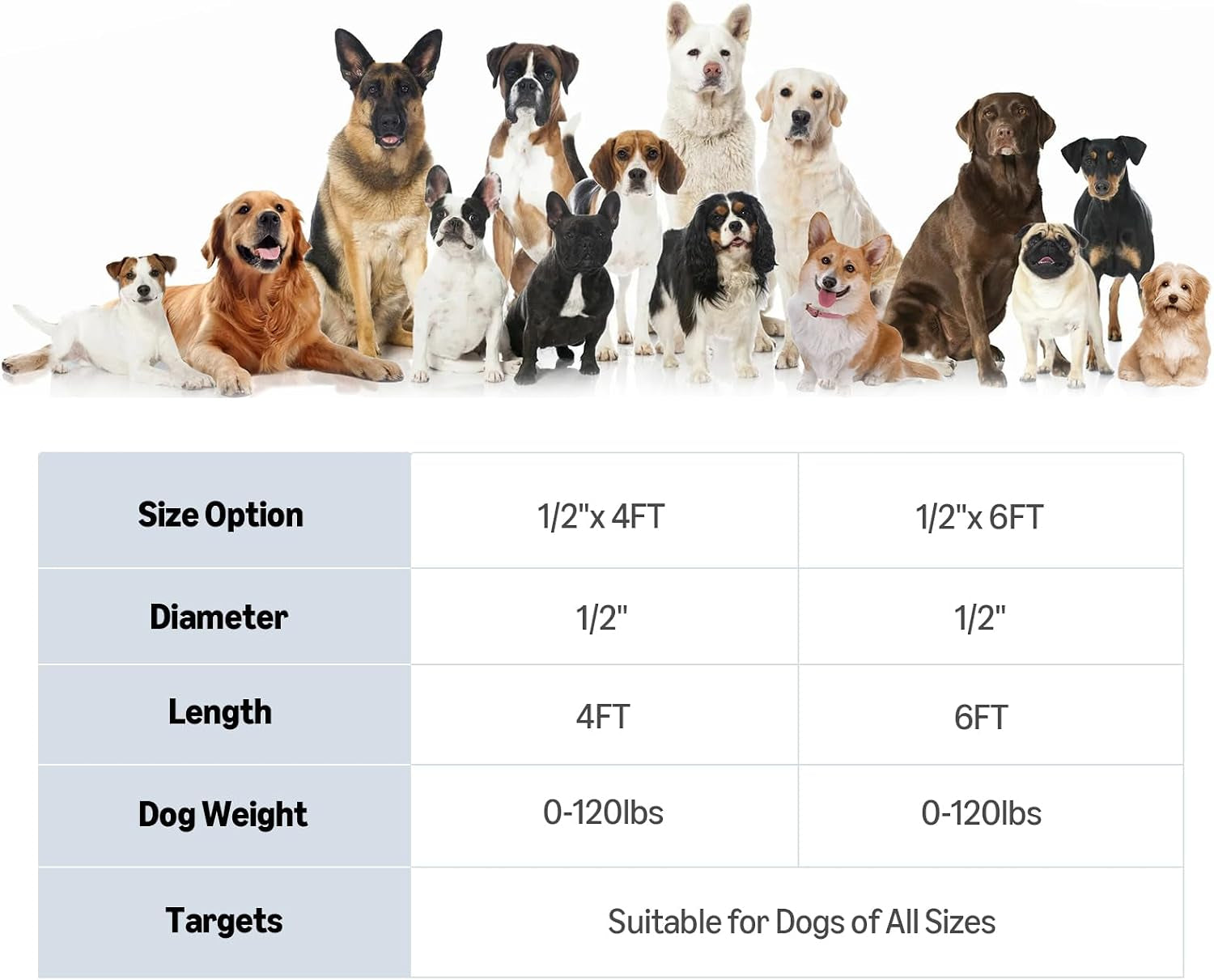 amazon-basics-round-dog-leash-heavy-duty-durable-rope-for-small-medium-and-large-dogs-lightweight-design-for-walking-training-and-outdoor-activities-blue-6-ft