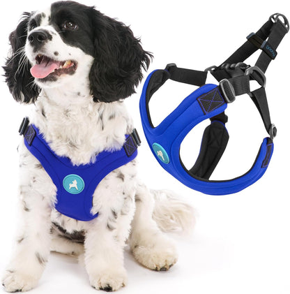 Gooby Escape Free Sport Harness - Red, Medium - No Choke Step-In Patented Neoprene Small Dog Harness with Four-Point Adjustment - Perfect on the Go Dog Harness for Medium Dogs No Pull and Small Dogs12