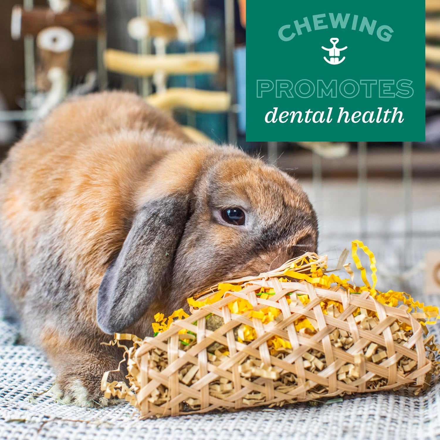 oxbow-timothy-hay-carrot-rabbit-guinea-pig-toys-bunny-enrichment-toys-rabbit-chew-toys-guinea-pig-enrichment-guinea-pig-chew-toys-rabbit-enrichment-natural-materials-small-pet-accessories
