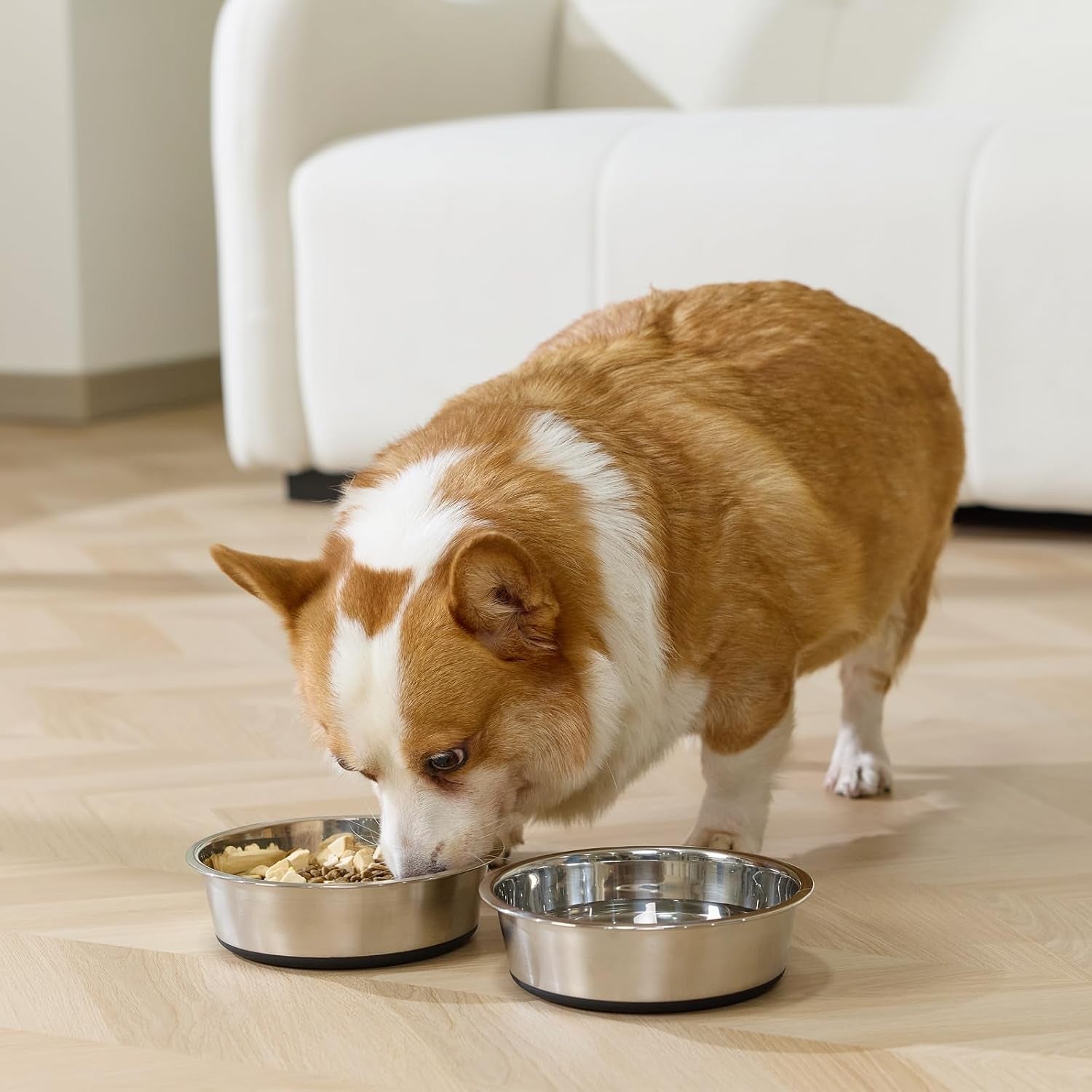 dog-bowls-durable-non-slip-stainless-steel-dog-bowls-2-pack-holds-3-cups-basic-bowls-for-dogs-with-rubber-base-for-dry-food-wet-food-and-water