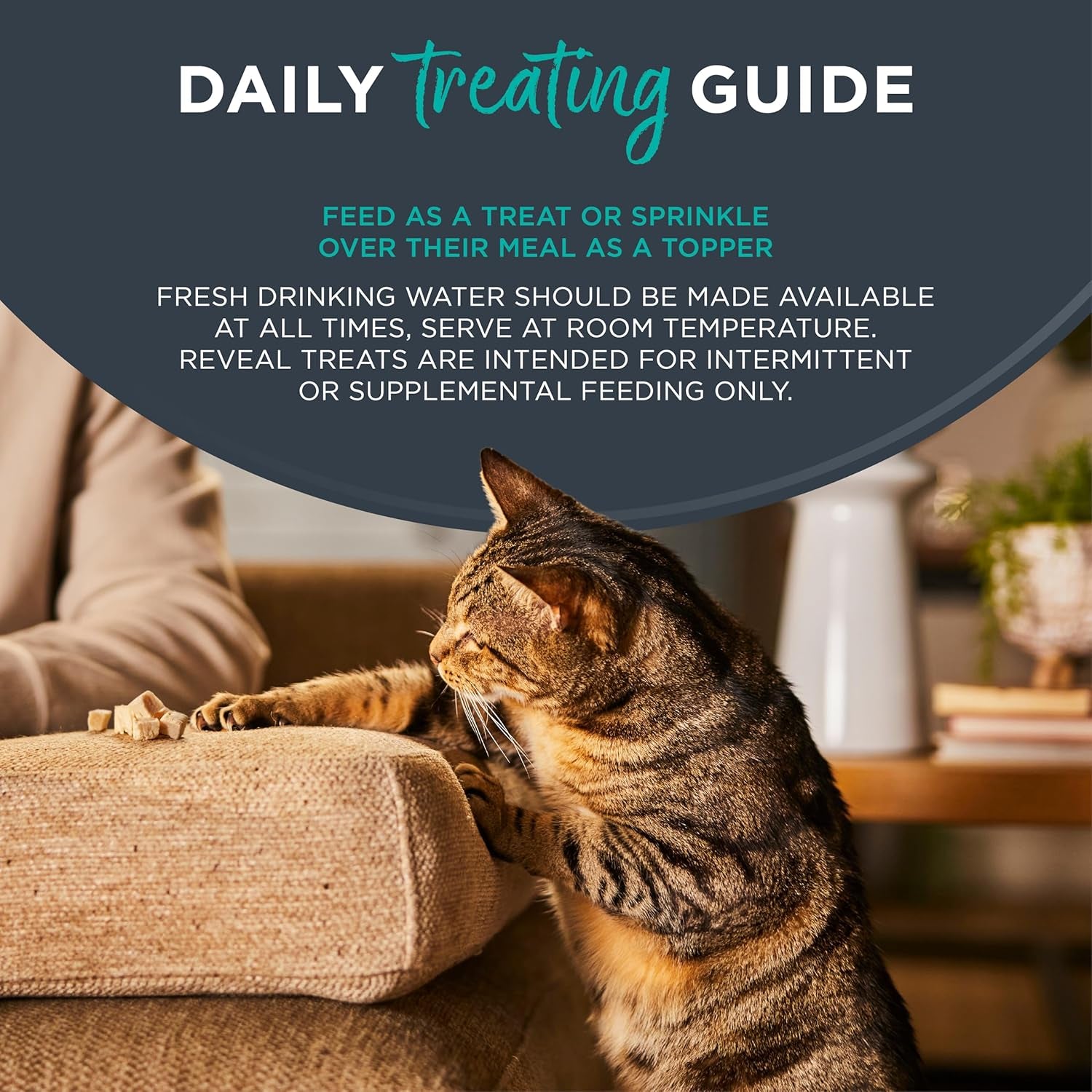 reveal-whole-tuna-filet-cat-treats-12-pack-1-06-oz-loins-100-natural-high-quality-protein-single-ingredient-grain-free-high-protein-no-fillers-no-artificial-additives