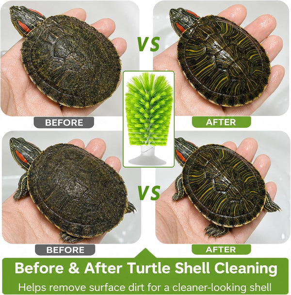Turtle Scrub Brush, Turtle Scratches Back Brush Turtle Shell Clean Brush with Suction Cup Turtle Exfoliate Brush Tank Tortoise Brush for Remove Turtle Shell Scutes Mud Dirt5